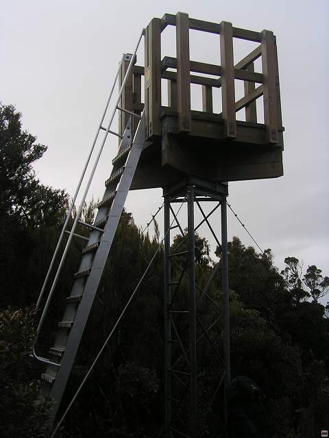 Steward Island 008.jpg